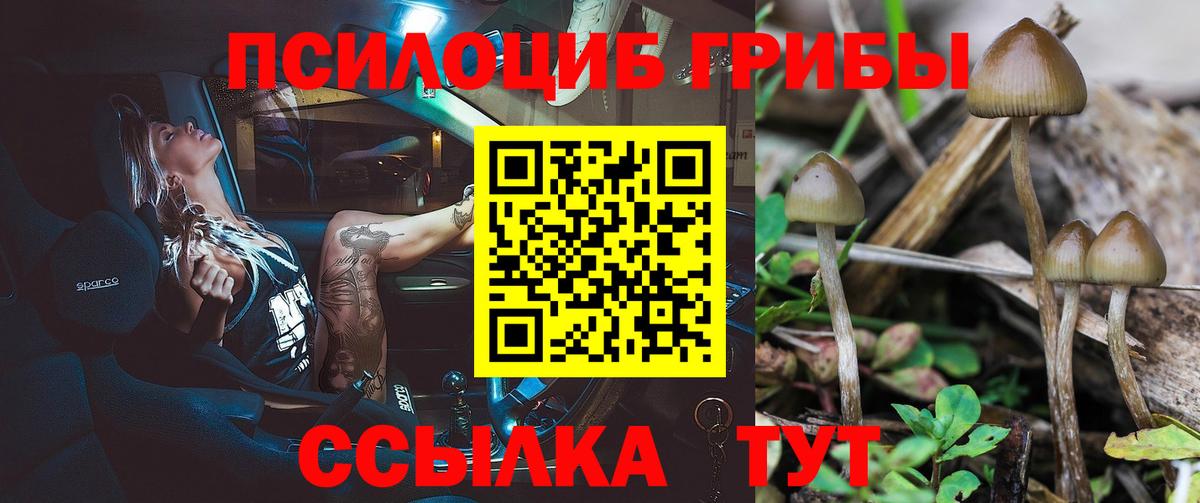 Галлюциногенные грибы Psilocybe Ханты-Мансийск